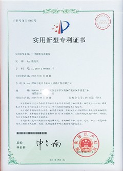 2018 Patent Certificate